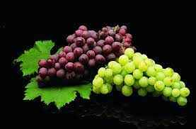 Image showing the Table Grapes