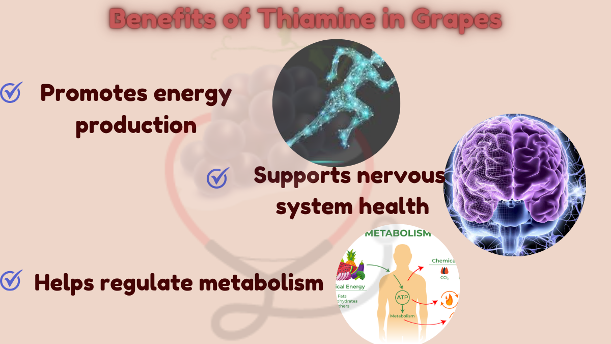 Image showing the Health benefits of thiamine in grapes