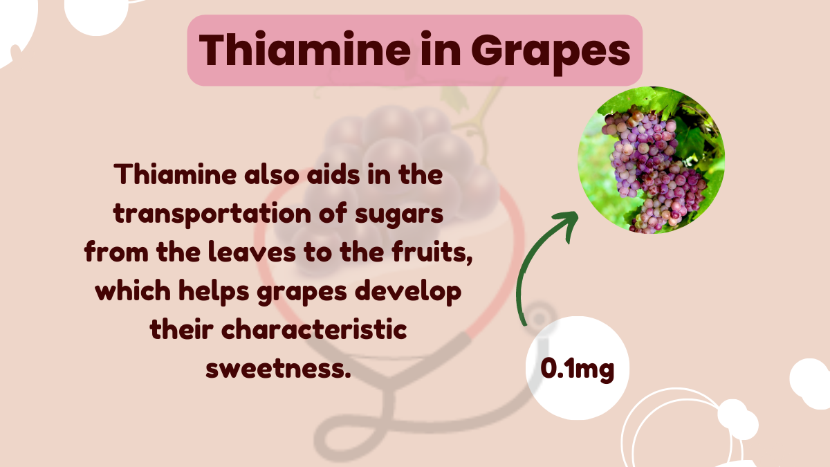 Image showing the Thiamine content in grapes