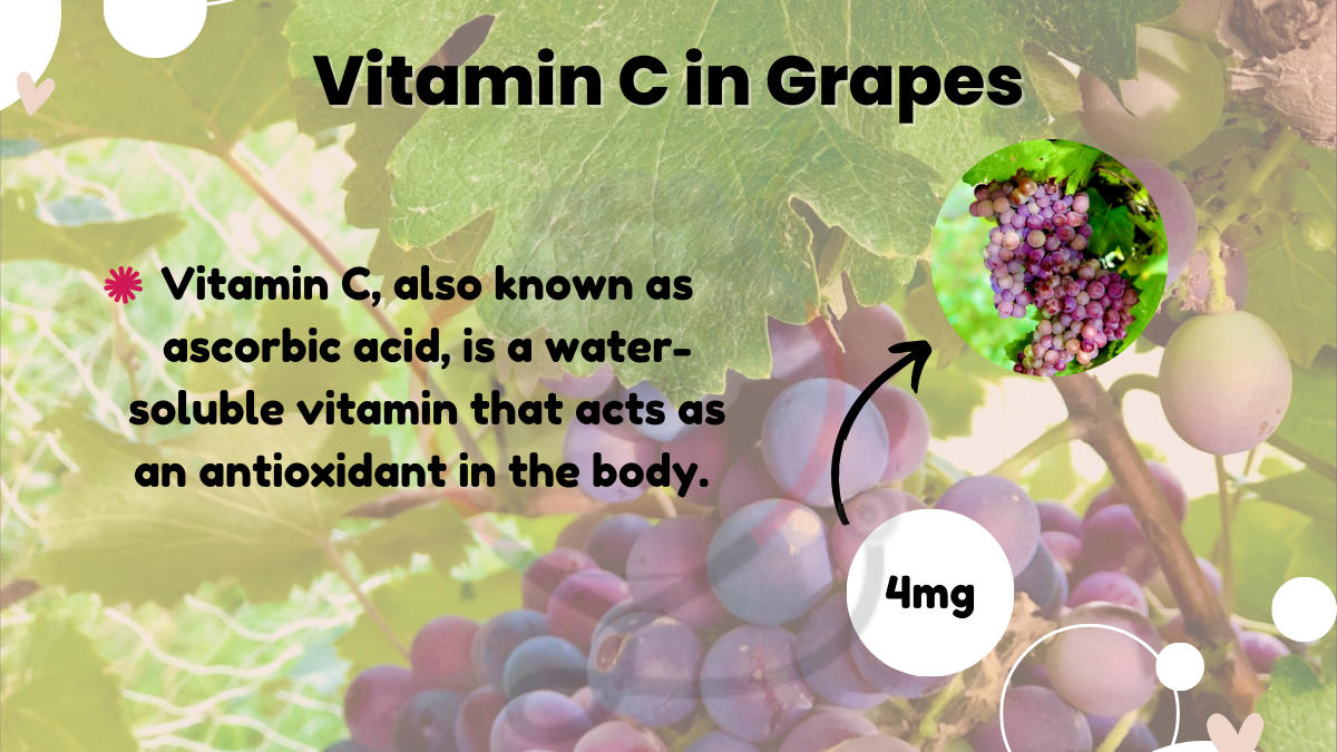 Image showing the vitamin c in grapes