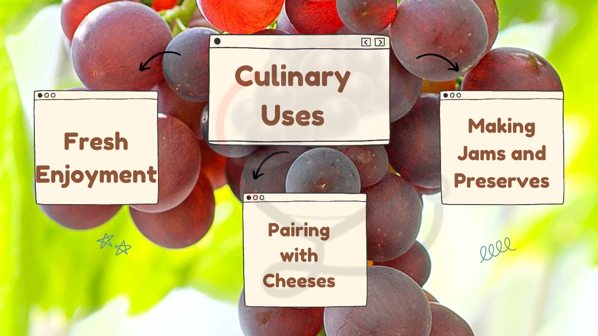 Image showing the Culinary Uses of Canadice Grapes