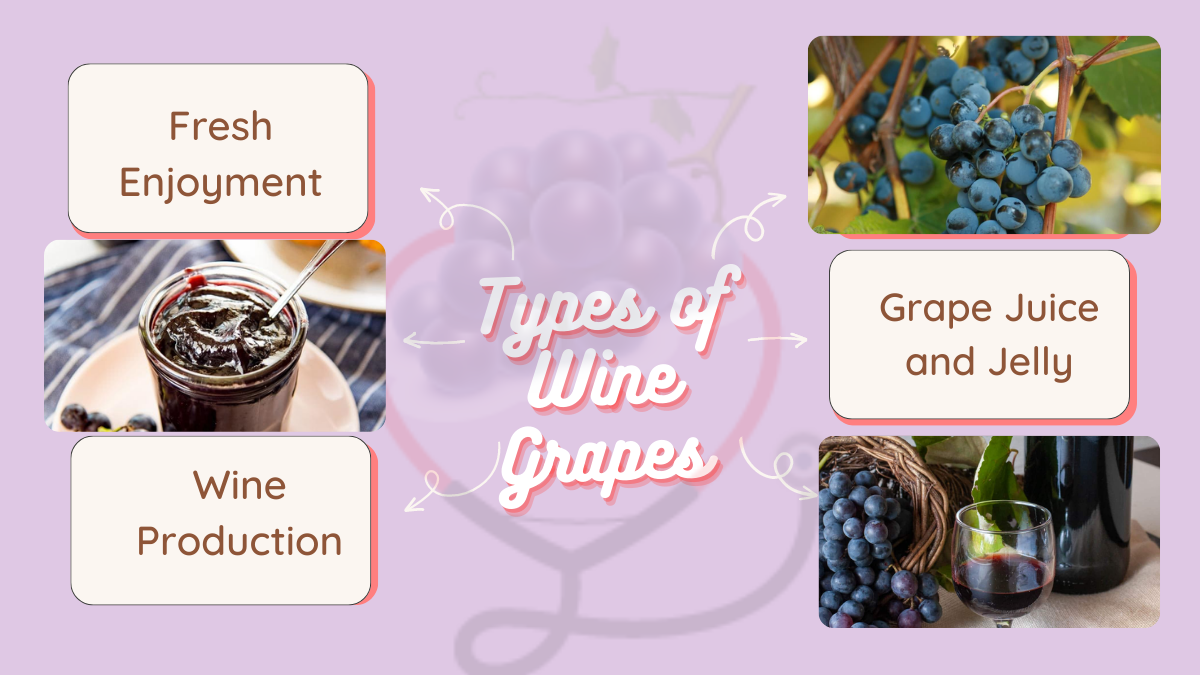 Image showing the Culinary Uses of Concord Grapes