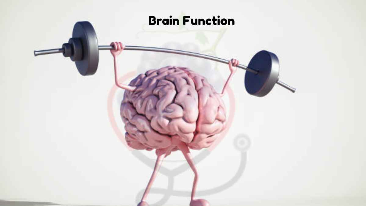 Image showing the Green Grapes help in Brain Functions