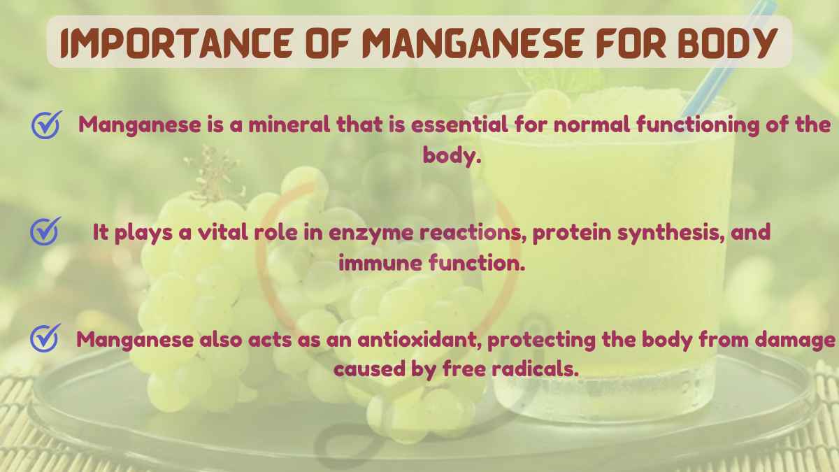 Image showing the Importance of Manganese for Body