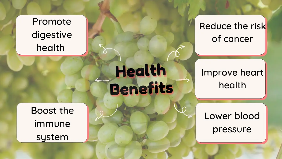 Image showing Health Benefits of Thompson Seedless Grapes