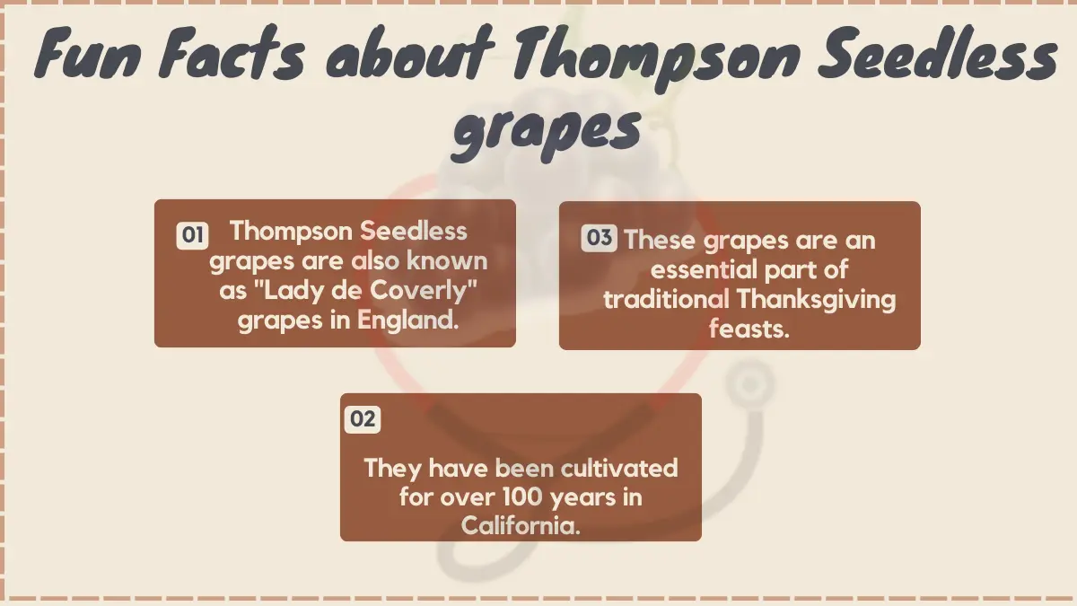 Image showing Fun Facts of Thompson Seedless grapes