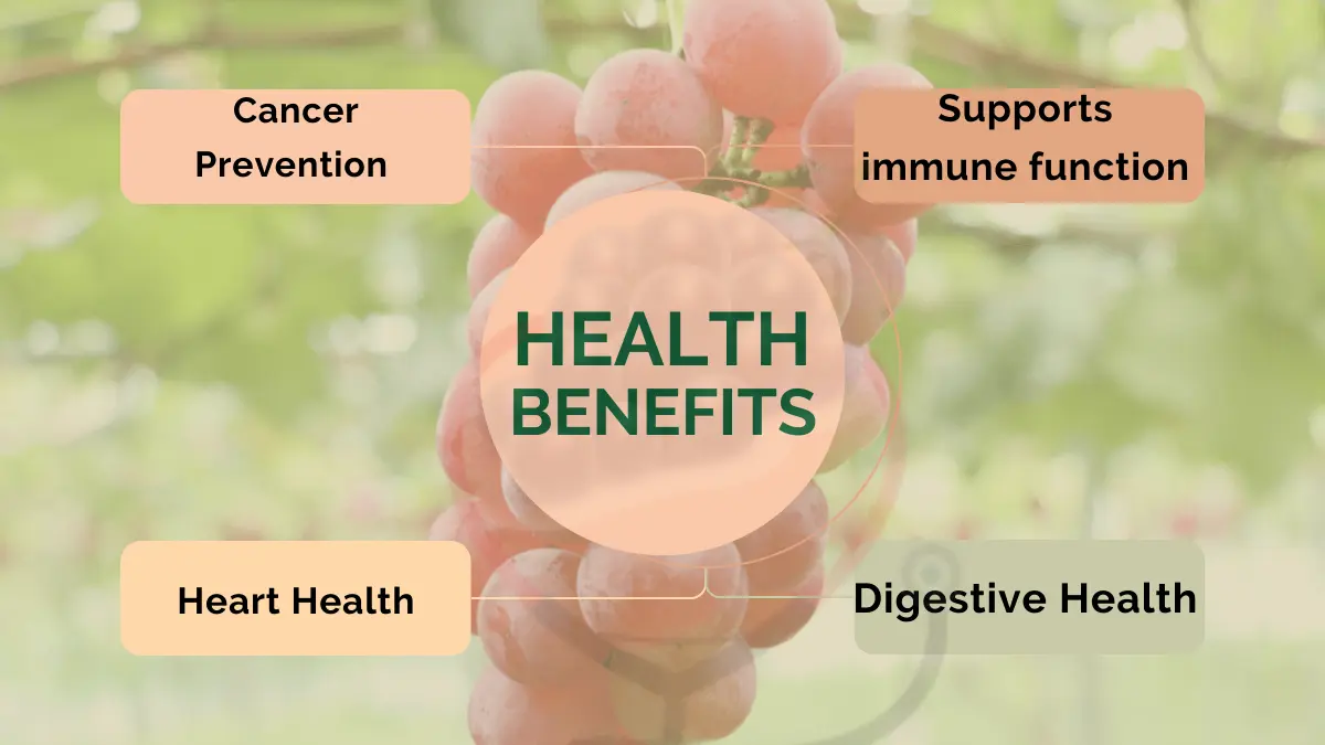 Image showing benefits of Ruby Roman grapes