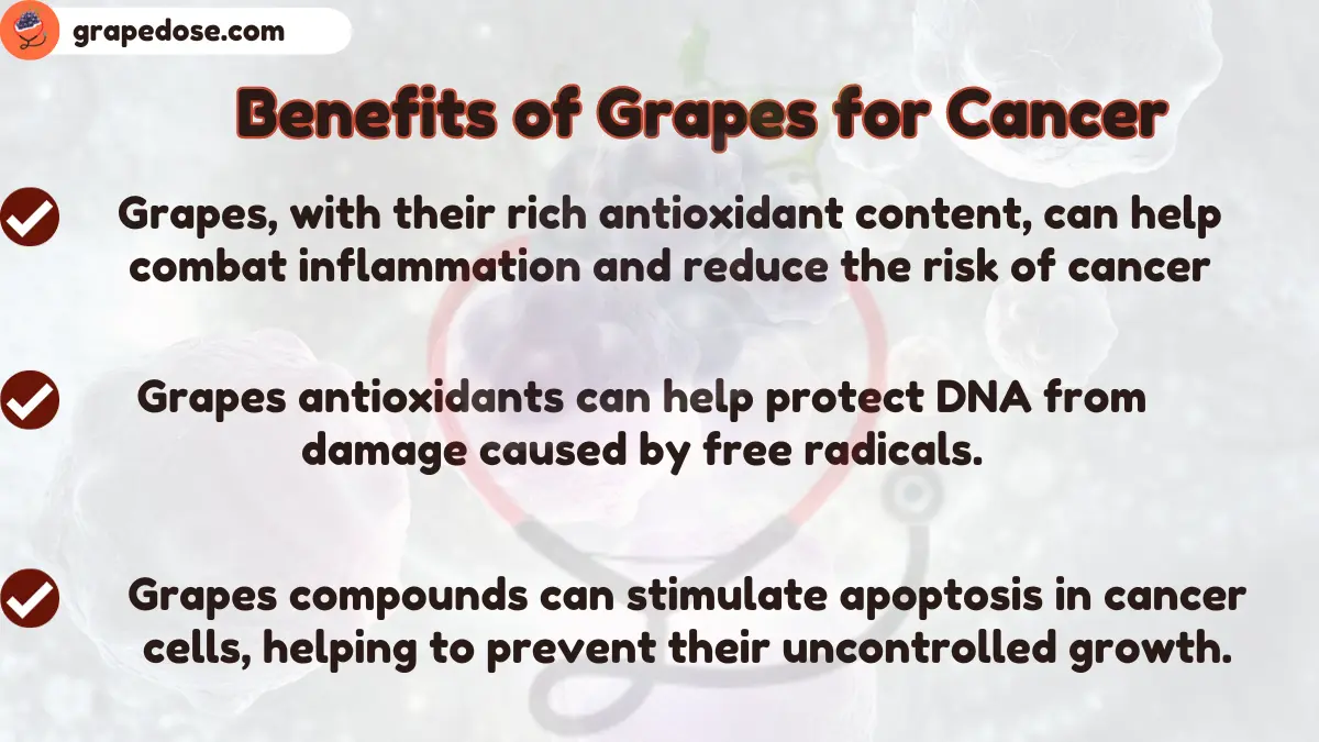 Image showing Benefits of Grapes to Prevent Cancer