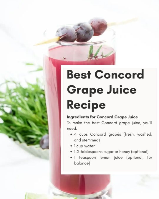 Image showing Best Concord Grape Juice Recipe