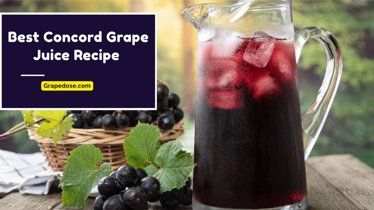 Image showing Best Concord Grape Juice Recipe