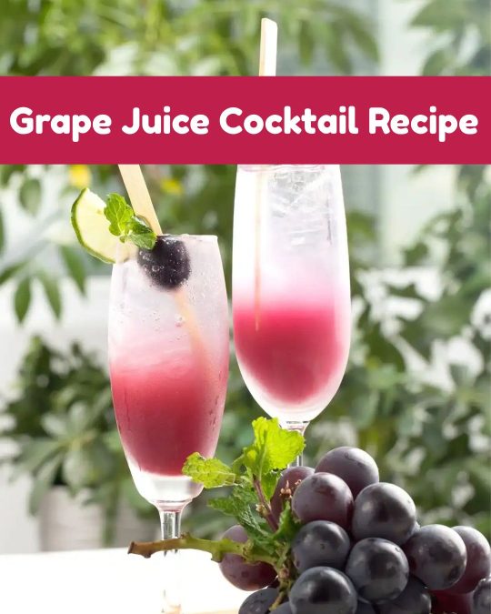Image showing Grape Juice Cocktail Recipe 