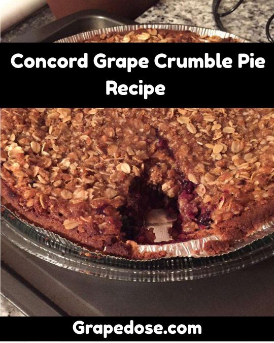 Image showing Concord Grape Crumble Pie Recipe 