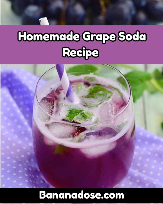 Image showing Homemade Grape Soda Recipe 