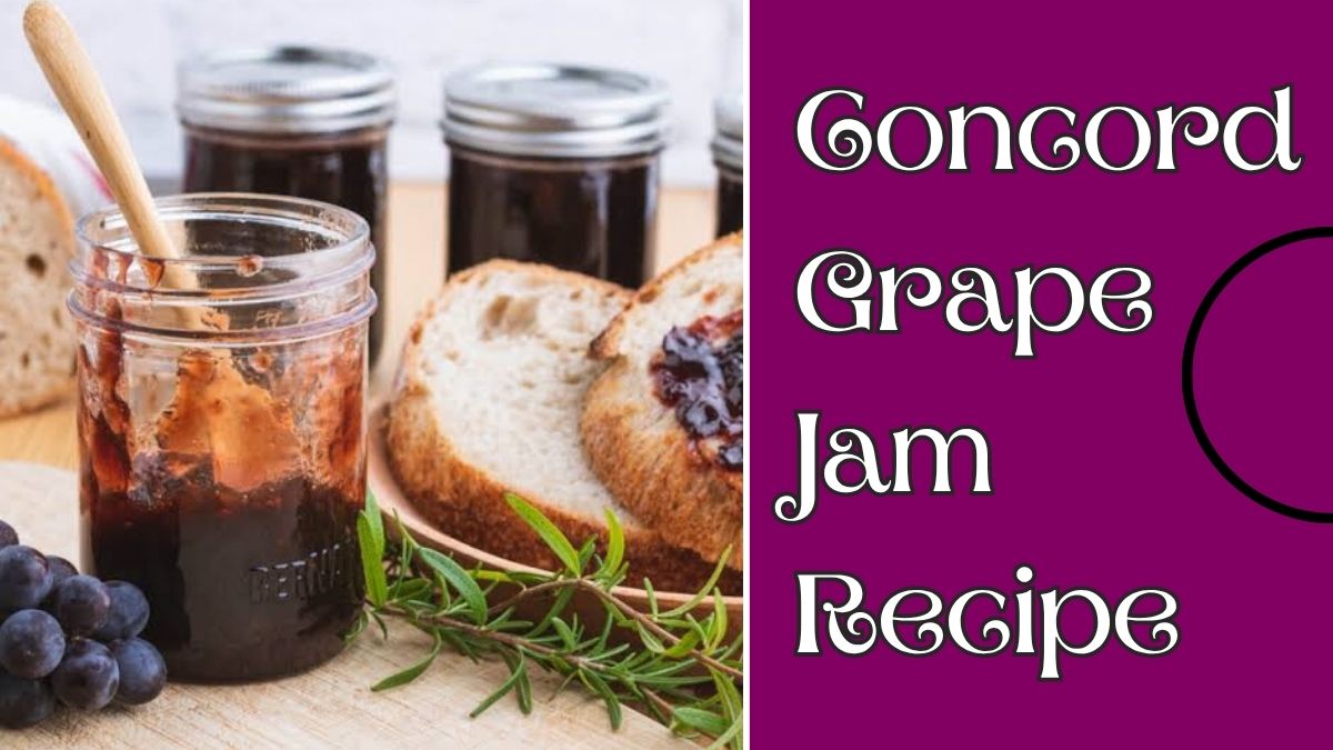 Concord Grape Jam Recipe featuring homemade purple grape jam in a glass jar