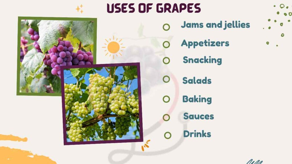 Image showing the uses of Grapes