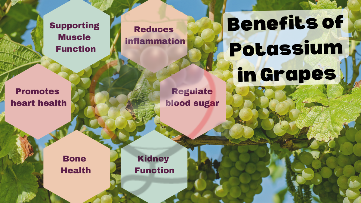 Benefits of Potassium in Grapes