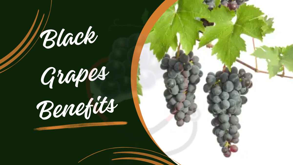 Image showing the Benefits of Black Grapes