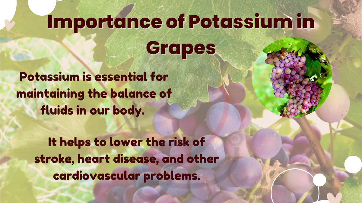 Benefits of Potassium in Grapes