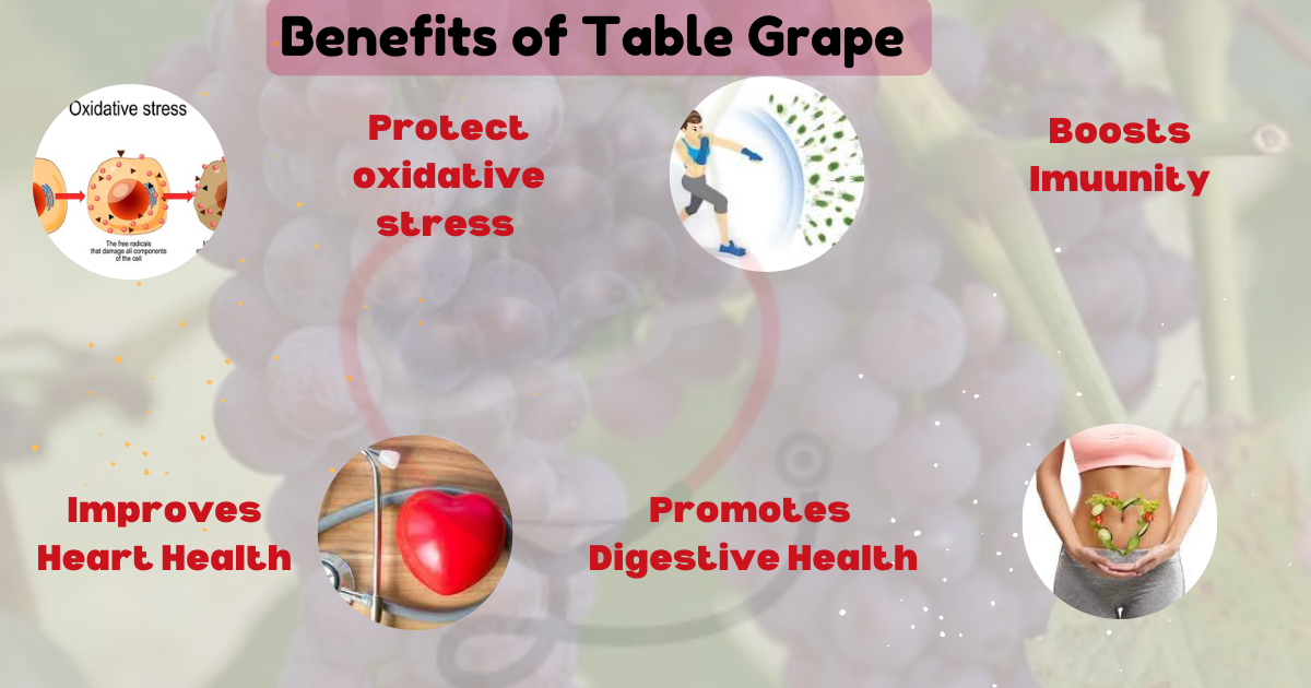 Image showing the Health Benefits of Table Grapes