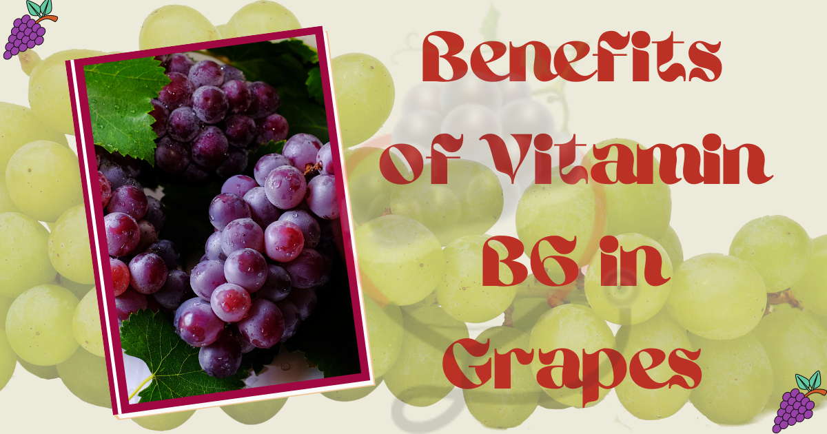 Image showing the Benefits of Vitamin B6 in Grapes