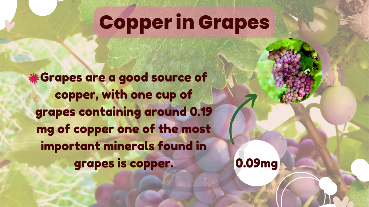 Image showing the benefits of Copper in Grapes