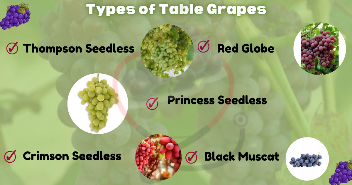 Image showing the Popular Varieties of Table Grapes