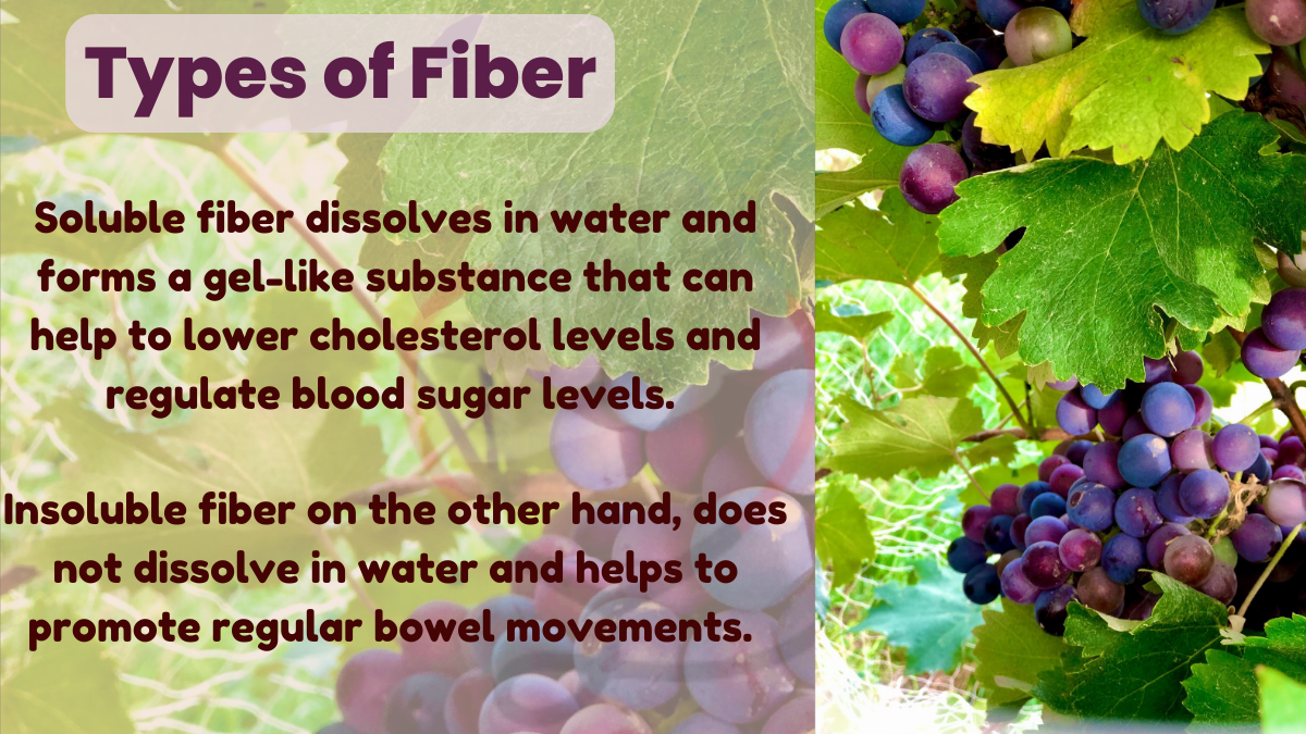 Image showing the Types of fiber