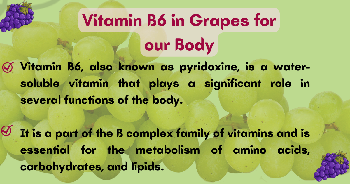 Image showing the Functions of Vitamin B6 in our Body