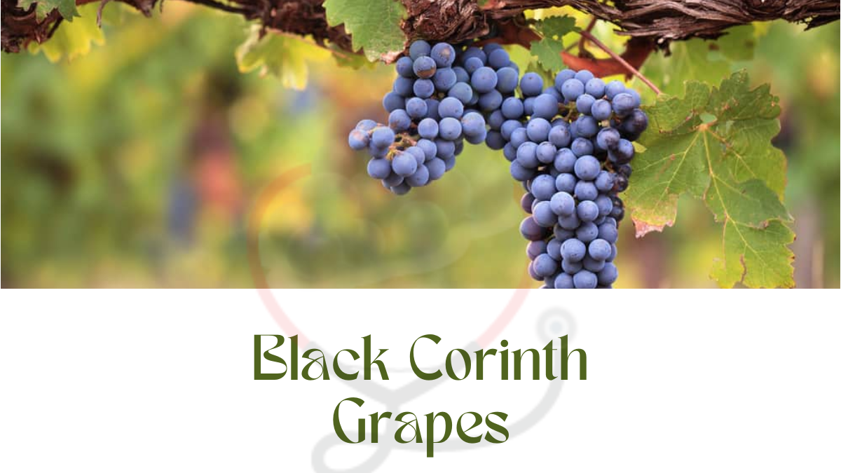 Image showing the Black Corinth Grapes