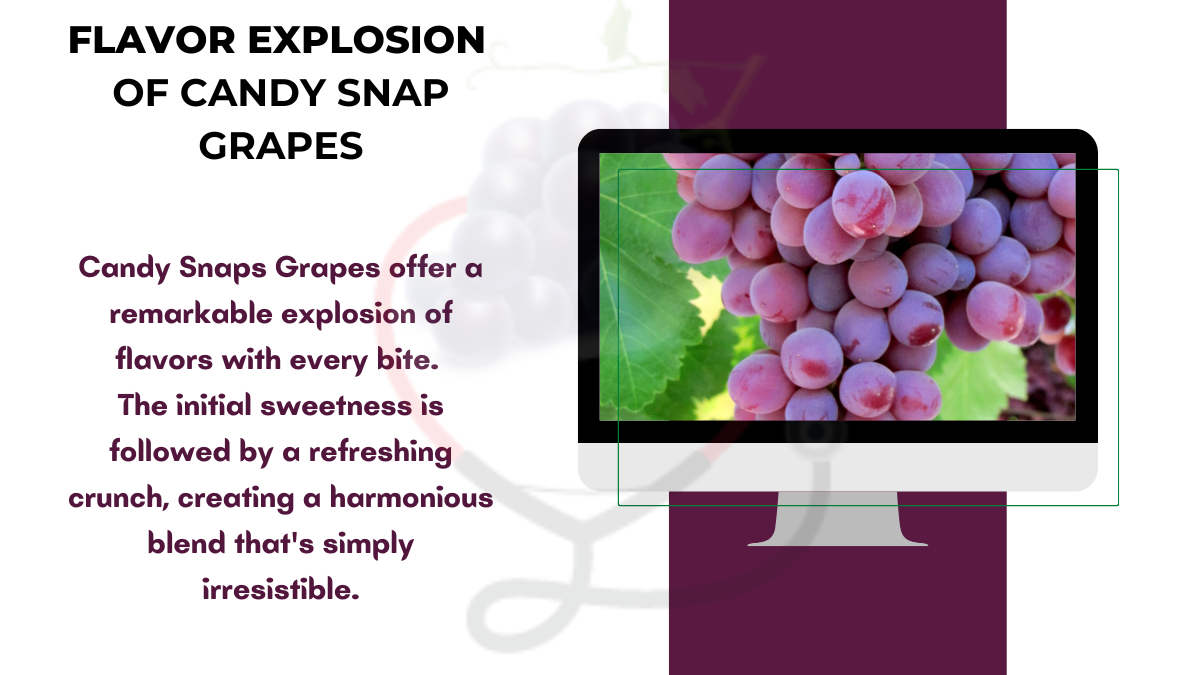 Image showing the Flavor Explosion of Candy Snaps Grapes