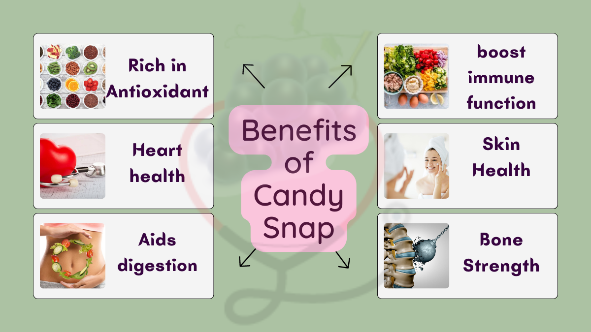 Image showing the Health Benefits of Candy Snaps Grapes