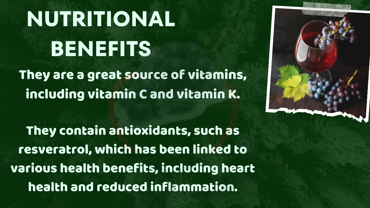 Image showing the Nutritional Benefits