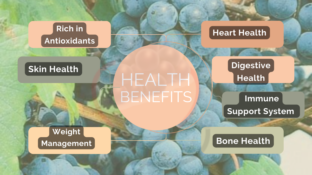 Image showing the Health Benefits of Black Monukka Grapes