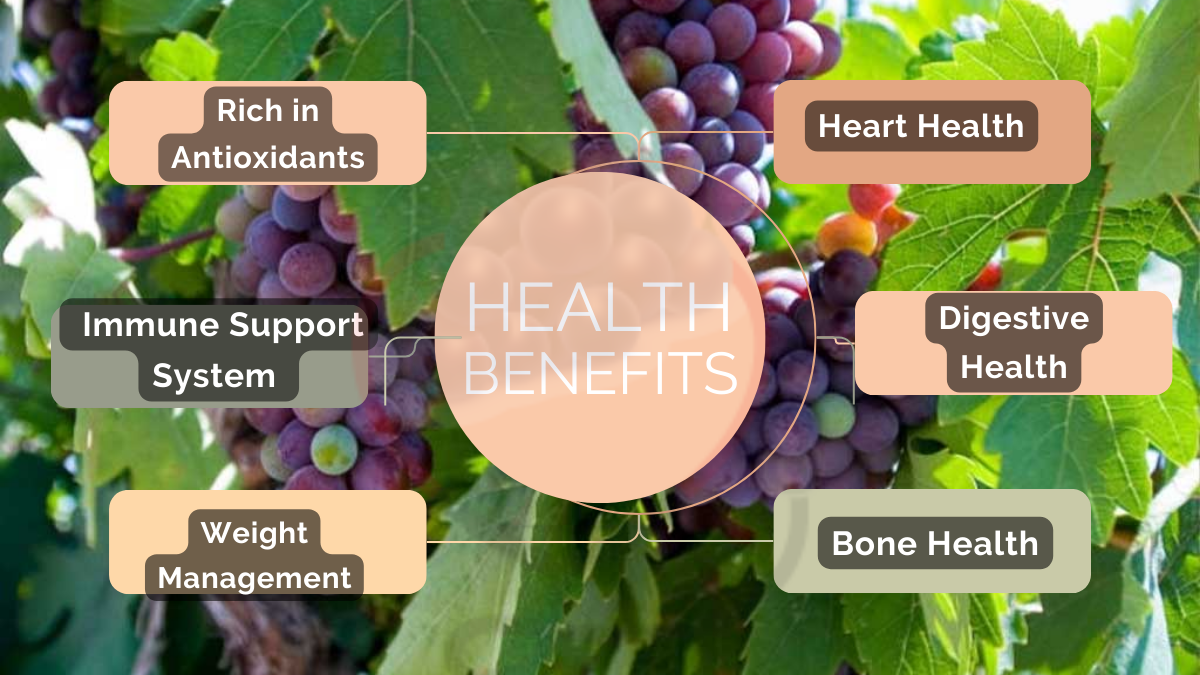 Image showing the Health Benefits of Cardinal Grapes