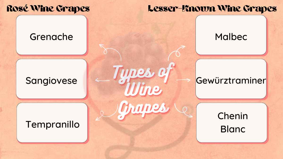 Image showing the Rose wine Grapes and Lesser Known Wine Grapes