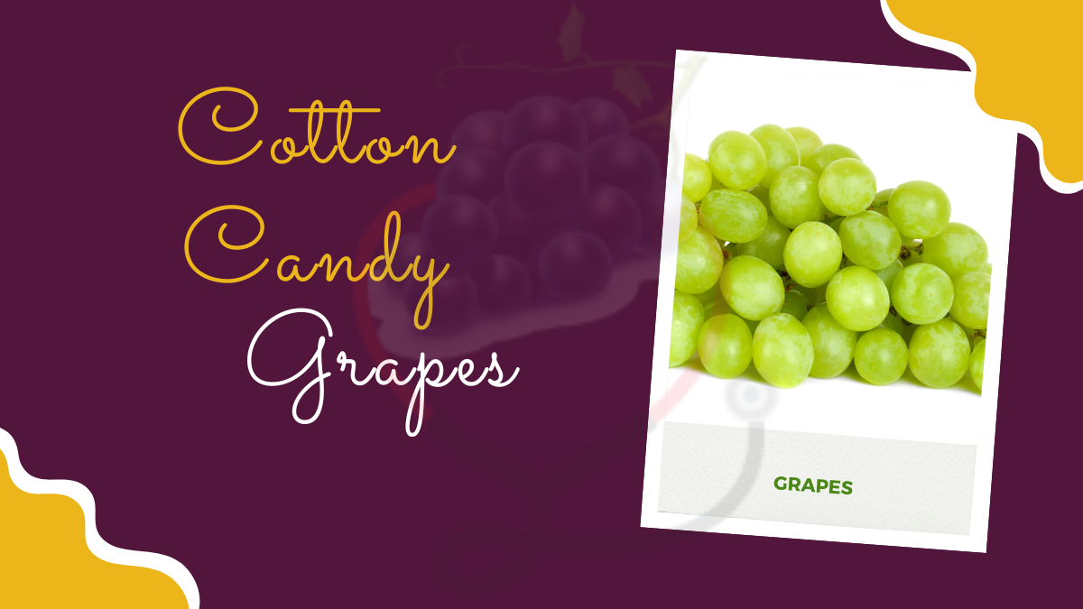 Image showing the cotton candy Grapes