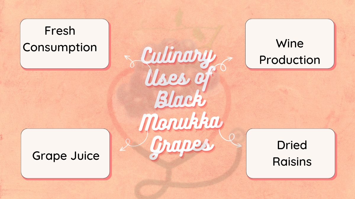 Image showing the Culinary Uses of Black Monukka Grapes