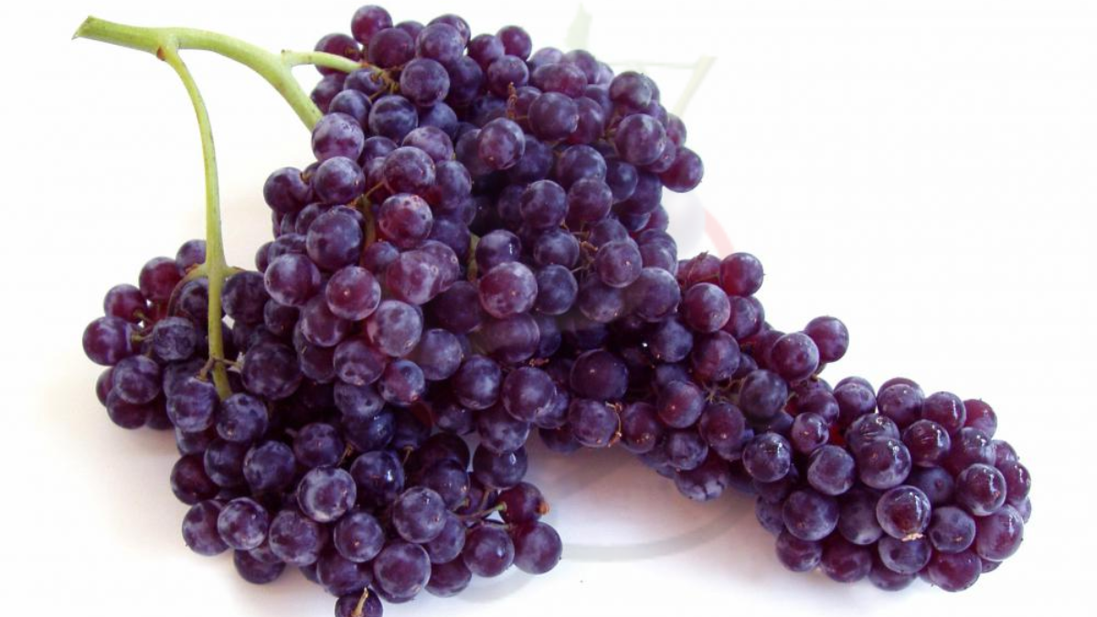 Image showing the Champagne grapes- A variety of Grapes