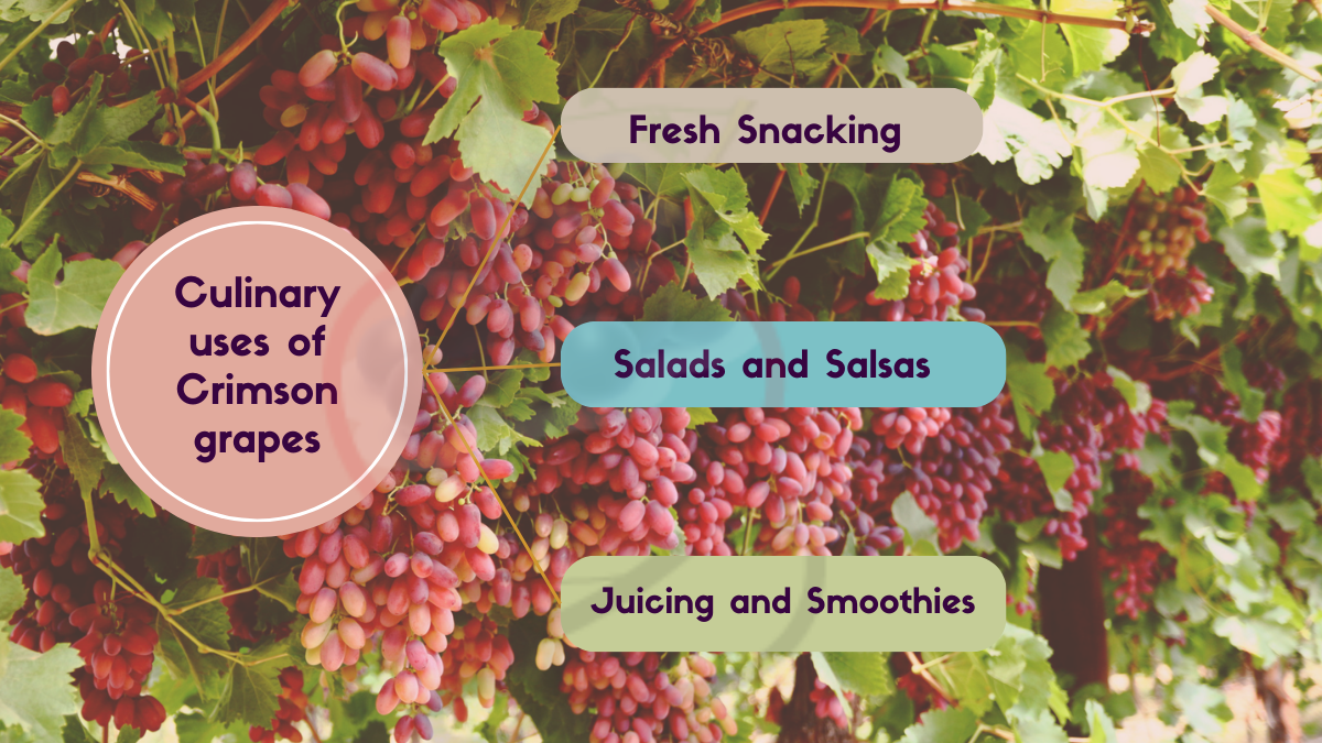 Image showing the Culinary Uses of Crimson Grapes