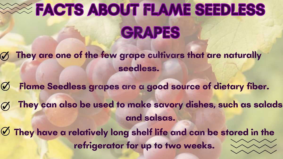 Image showing the Facts about Flame Seedless Grapes