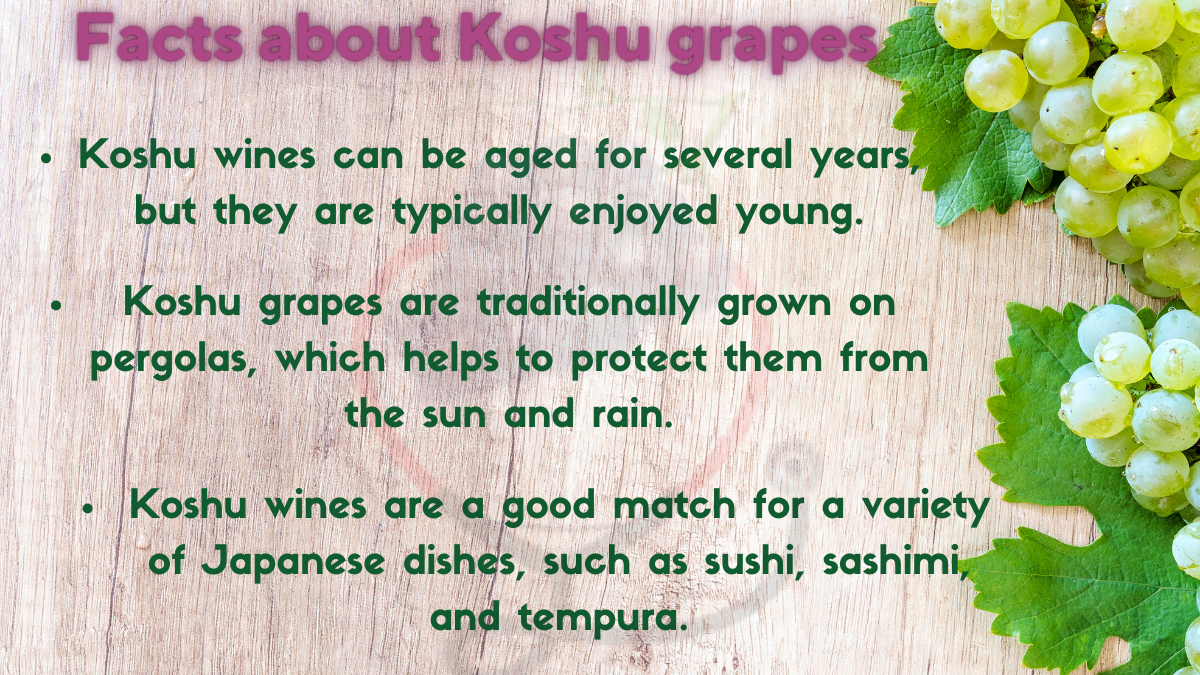 Image showing the Facts about Koshu grapes