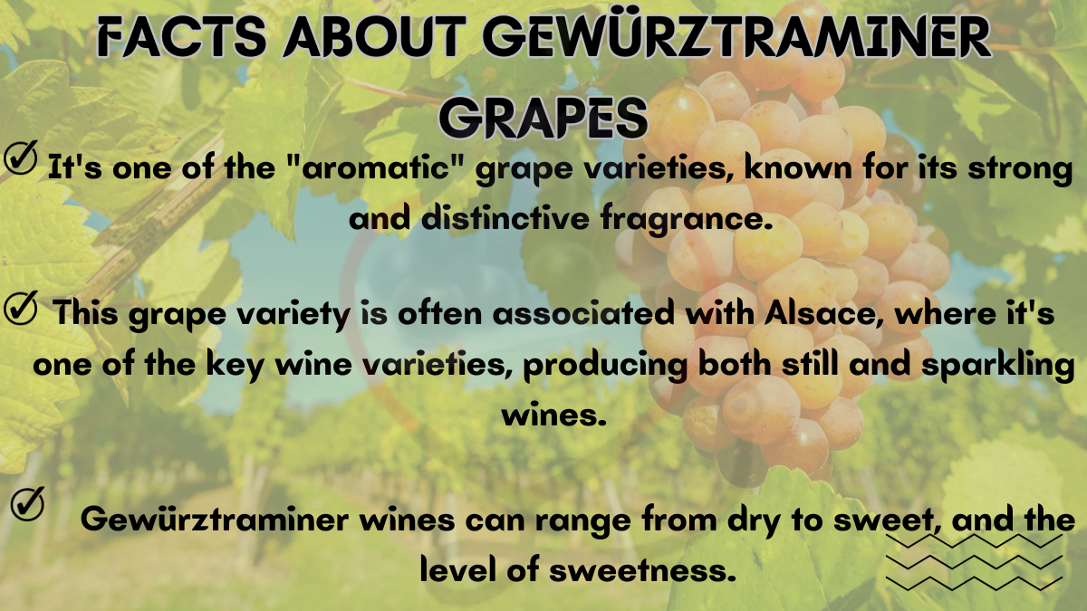 Image showing the Facts about the Gewürztraminer Grapes