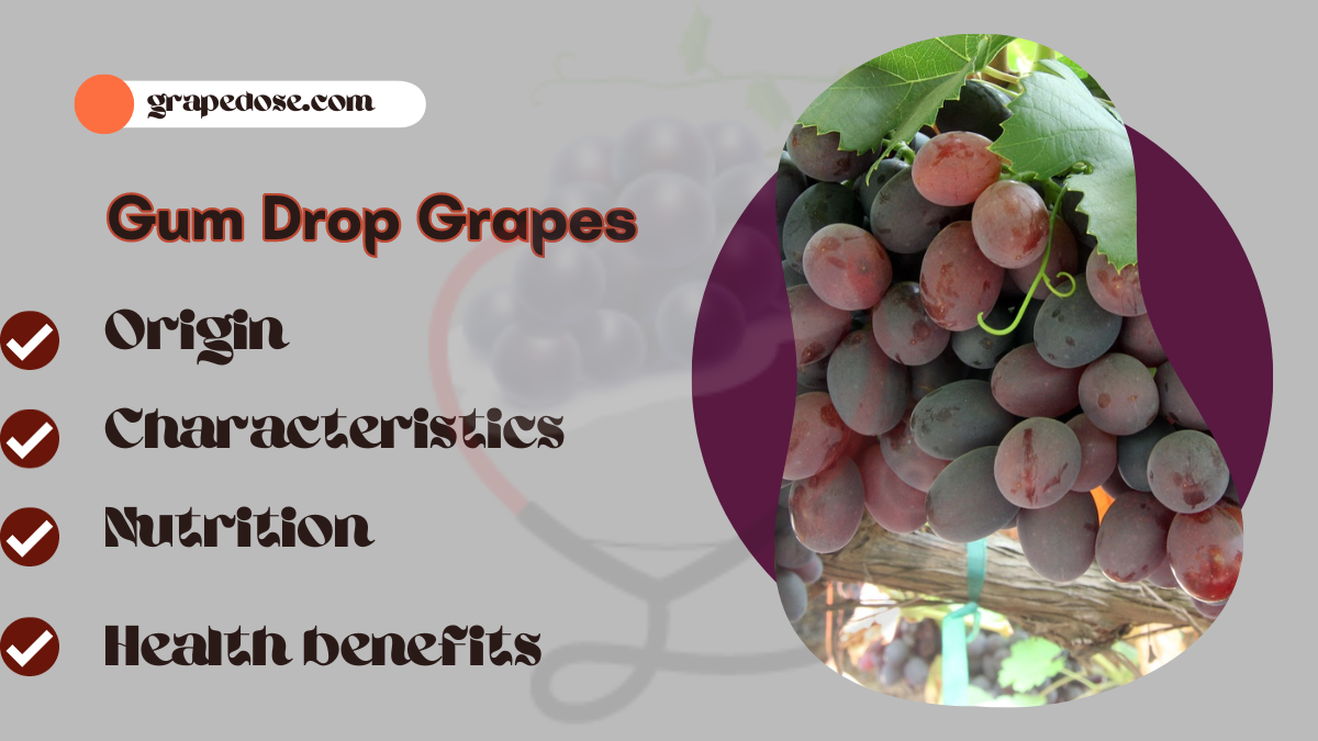 Image showing the Gum Drop Grapes