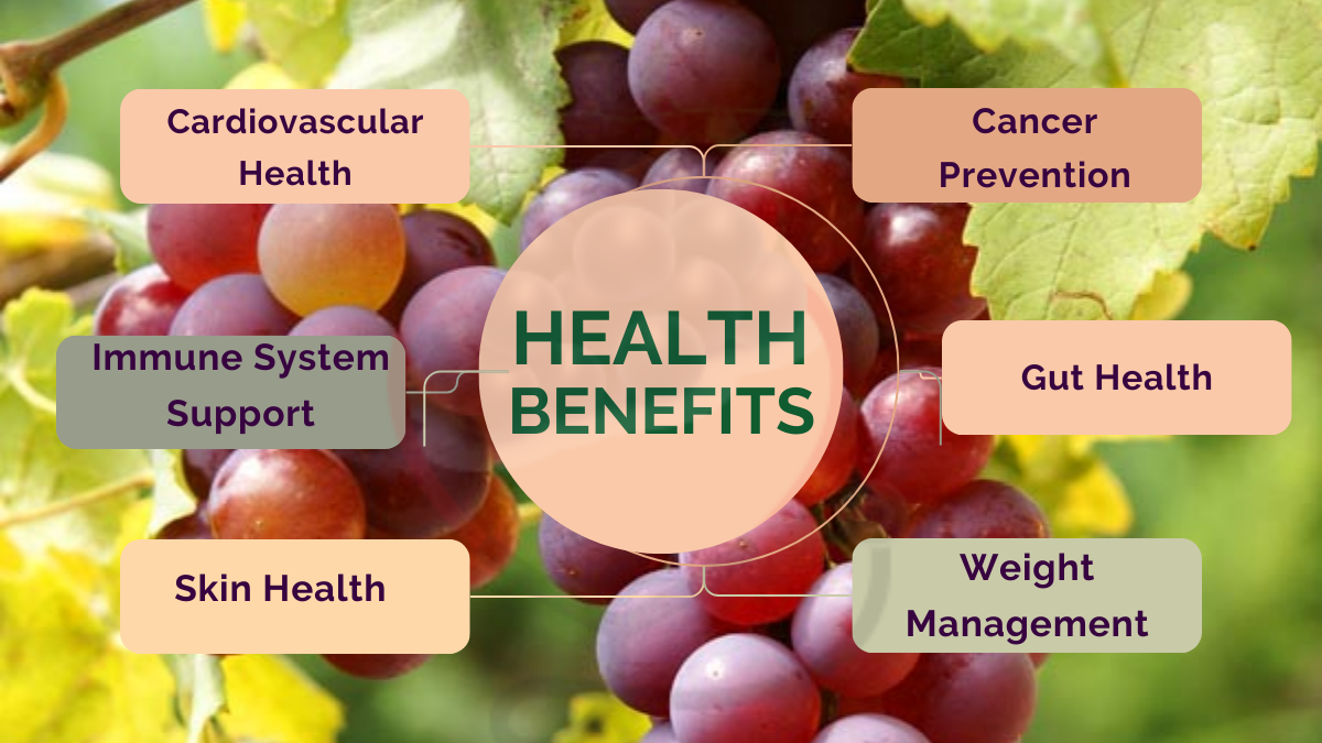 Image showing the Health Benefits of Flame Seedless Grapes