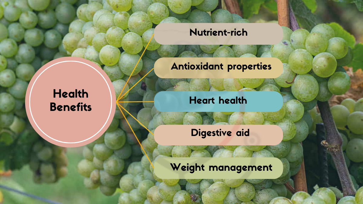Image showing the Health Benefits of Himrod Grapes