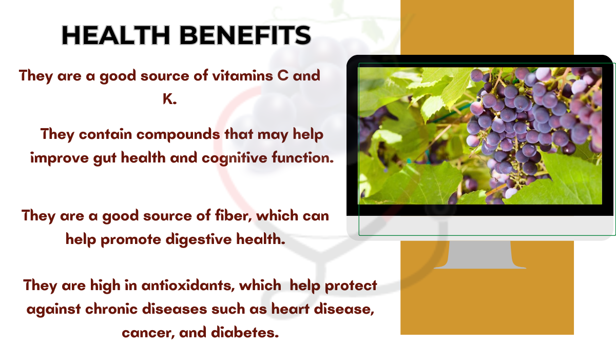 Image showing the Health Benefits of Fox Grapes