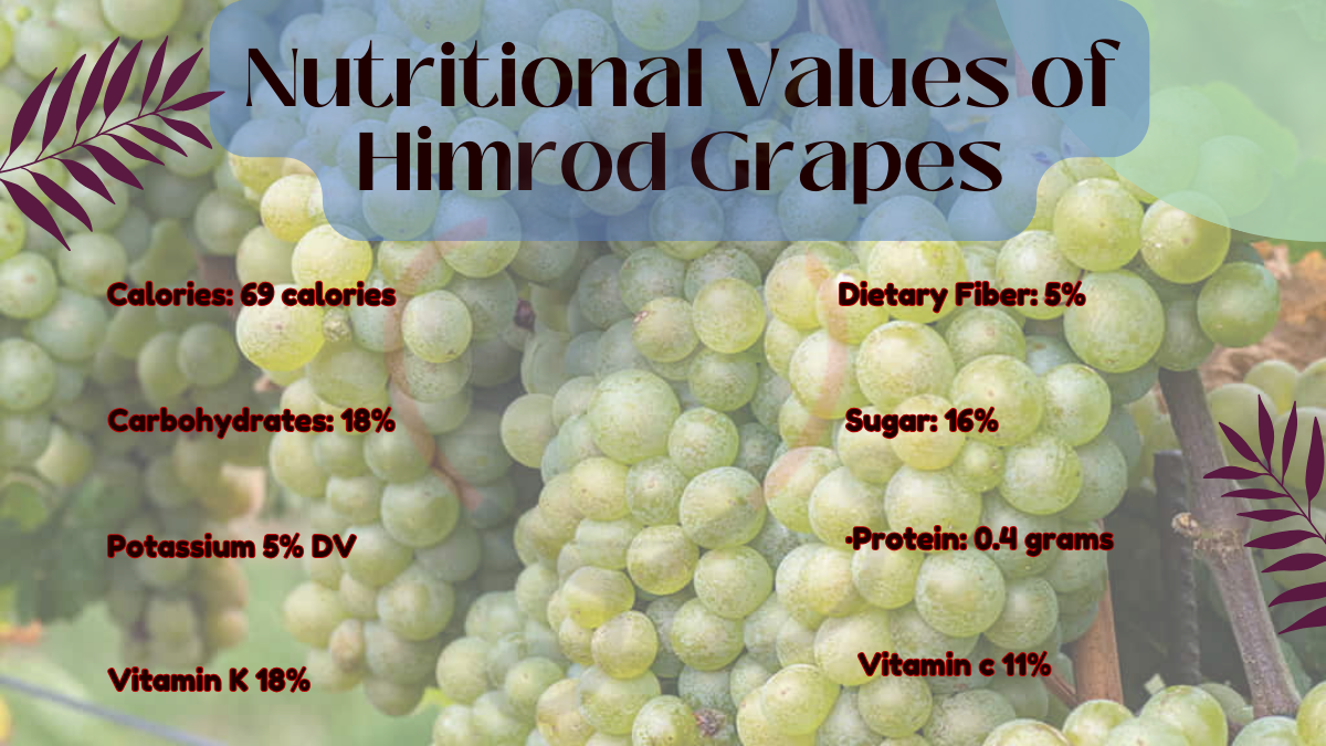 Image showing the Nutritional Values of Himrod Grapes