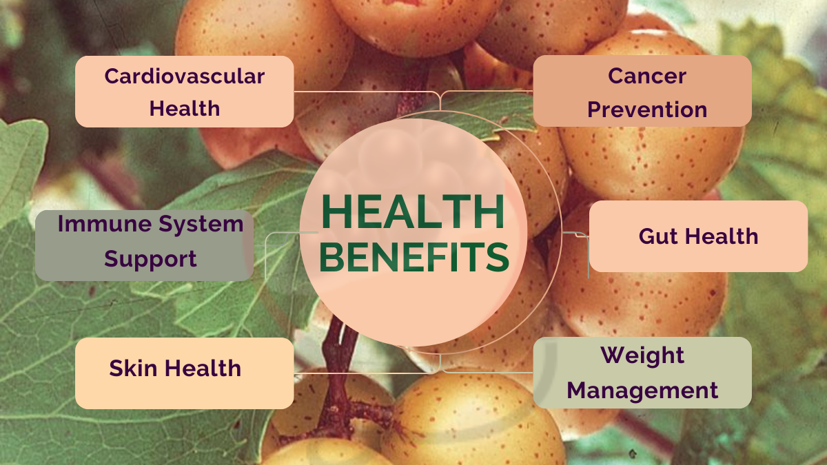 Image showing the benefits of Fry Muscadine Grapes