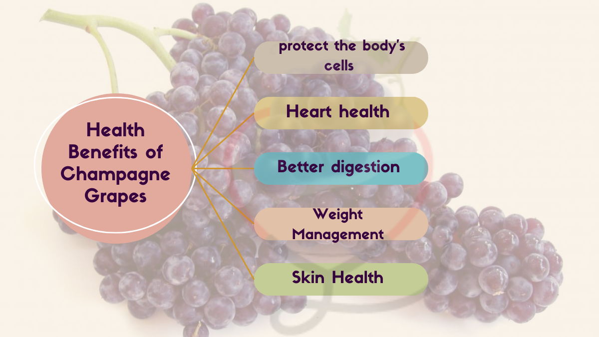 Image showing the Health Benefits of Champagne Grapes