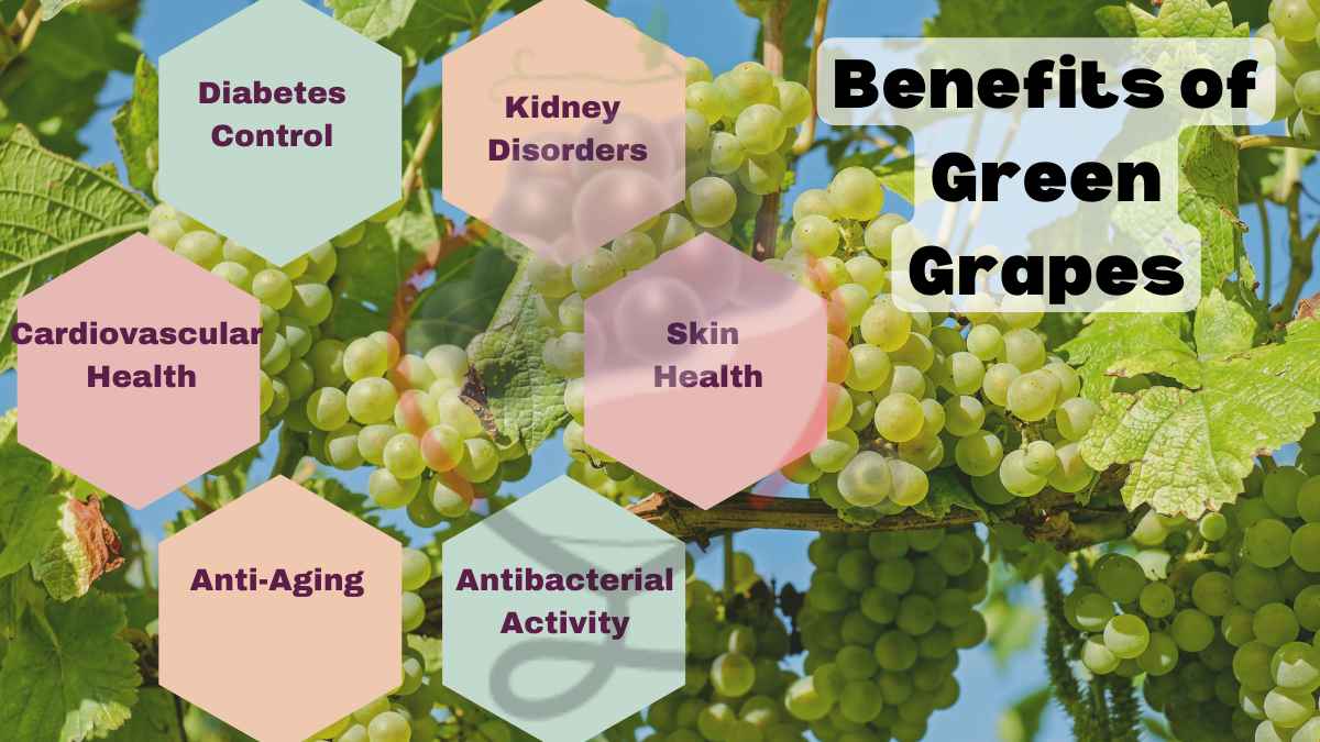 Image showing the Health Benefits of Green Grapes
